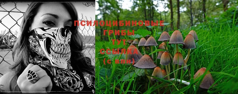 Галлюциногенные грибы MAGIC MUSHROOMS  Собинка 